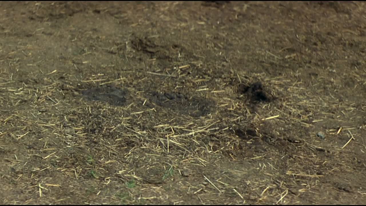 An Unfinished Life 2005 1080p BluRay x264 YIFY