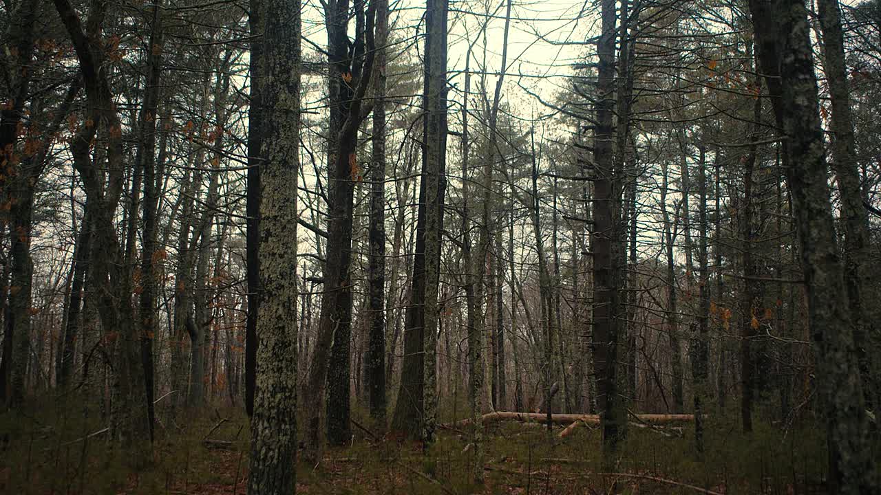 ⁣The Man In My Basement 2025 1080p WEBRip x264 AAC5 1-