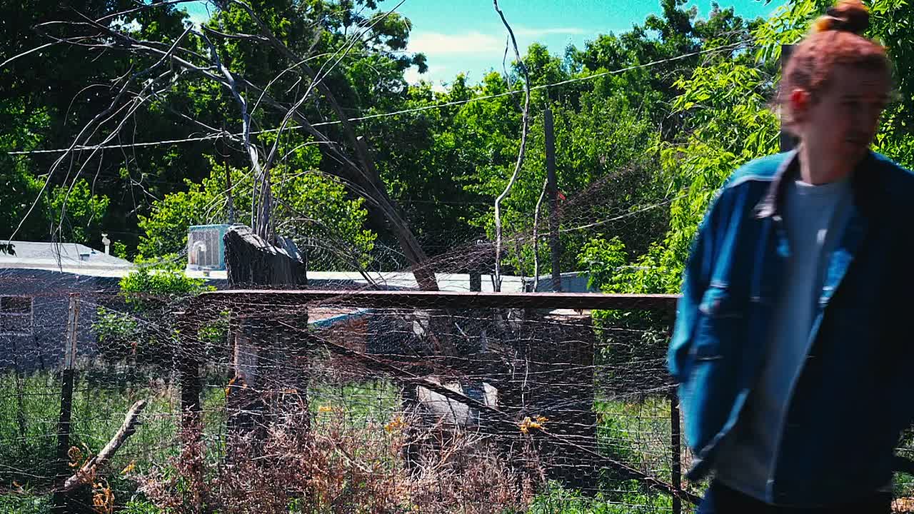 Field Of Screams 2025 1080p WEBRip x264 AAC-