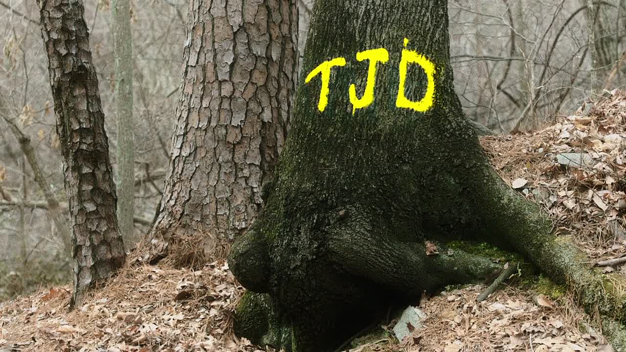 Cell 2016 1080p BluRay x264-[YTS AG]