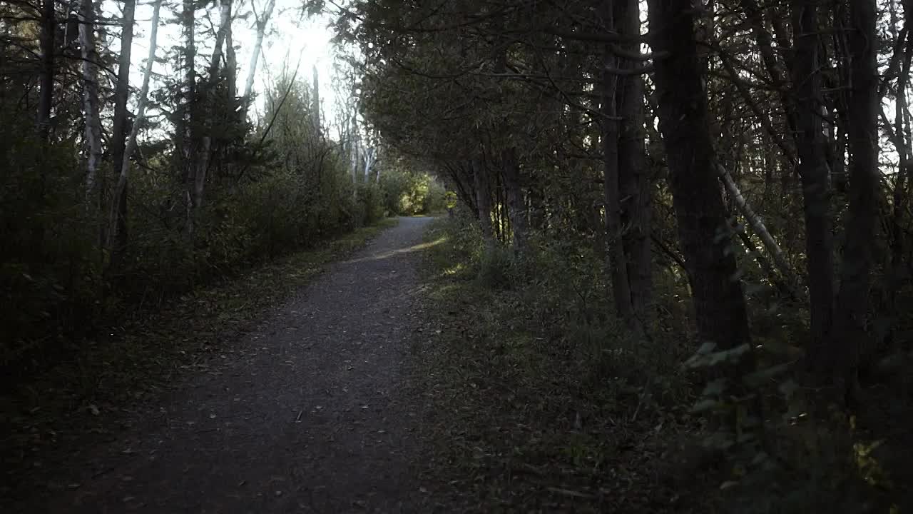 Somebody's Hiding Something S03E01