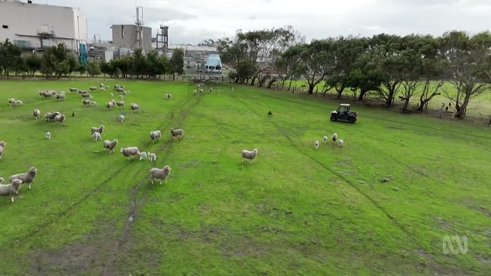 ⁣Four Corners S65E30 -Empty Promises