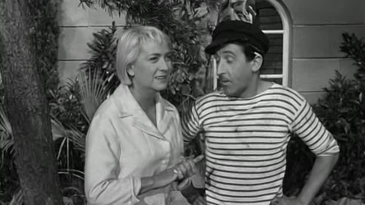 Louis De Funes - 1963 - Les Veinards French Dvdrip DivX