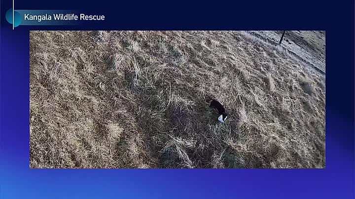 ⁣Insight -Gone Missing