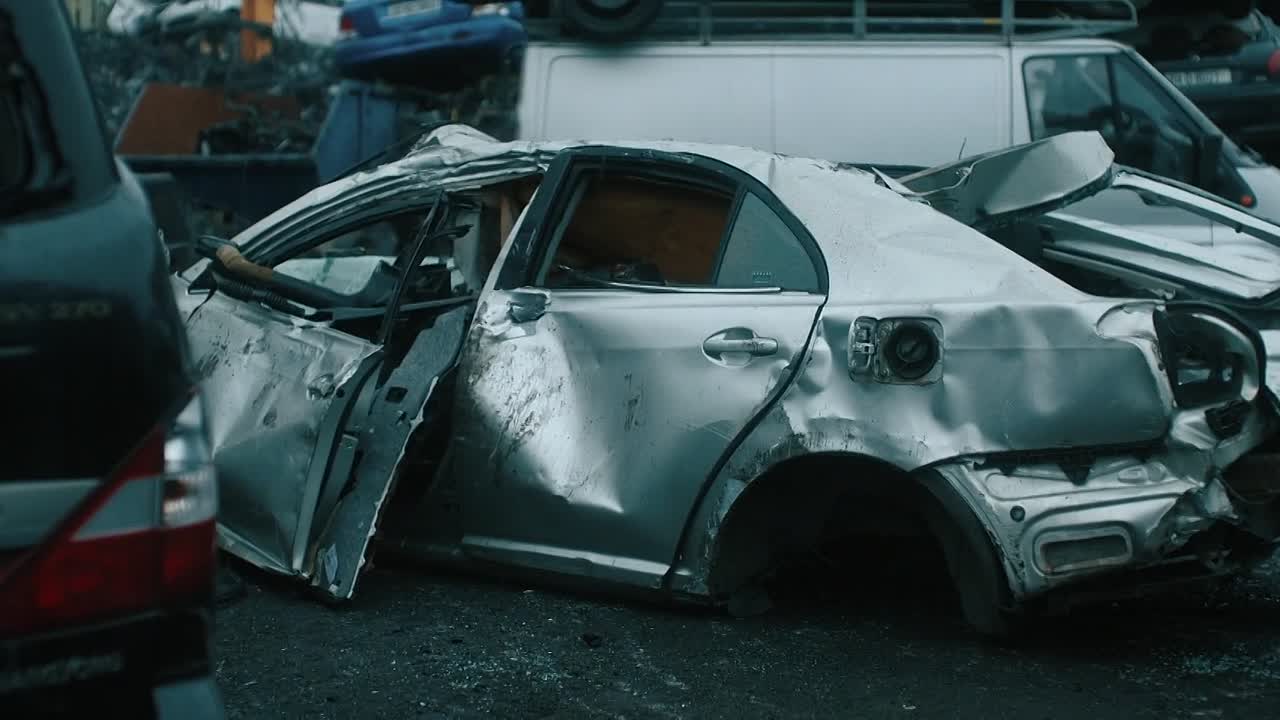 Amongst The Wolves 2024 1080p WEBRip x264 AAC5 1-