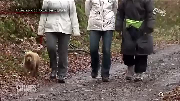 ⁣Crimes En Lorraine