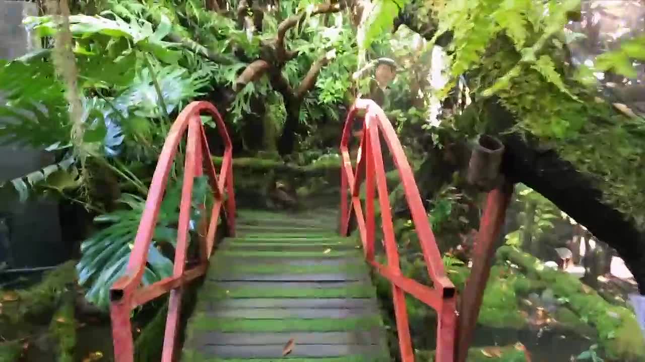 ⁣1000 Ways to Dine S01E05