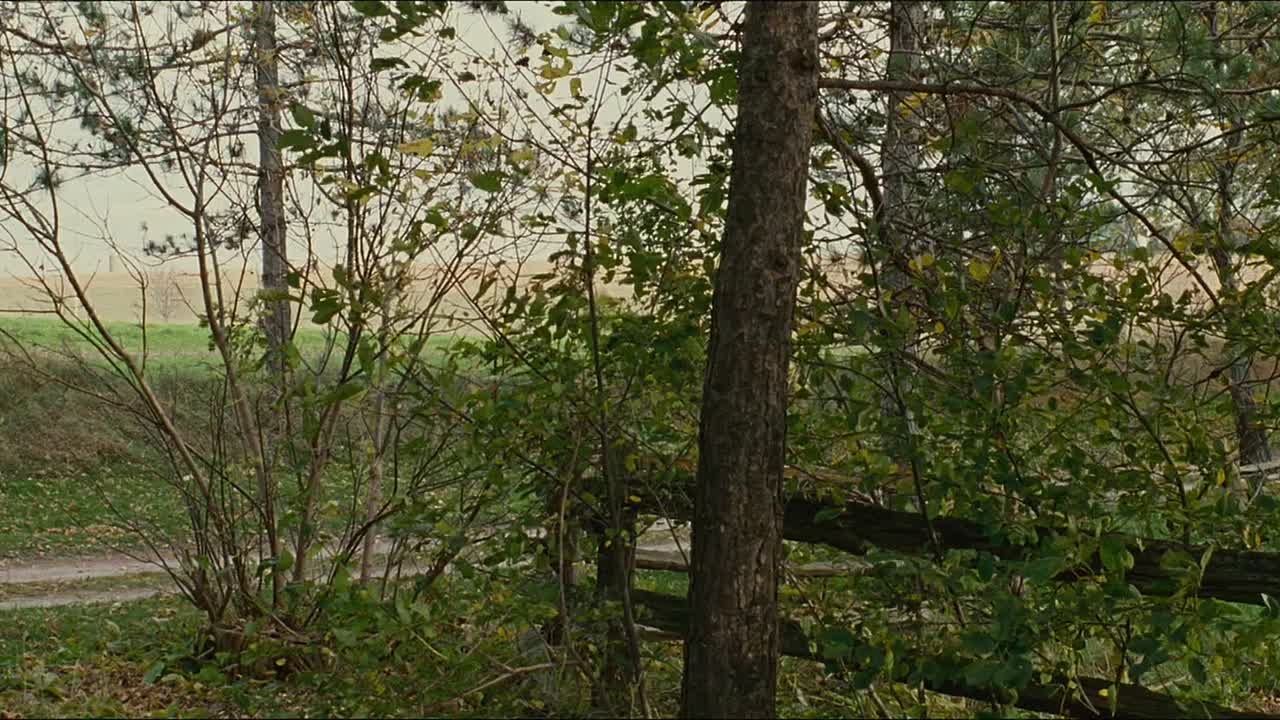 All Hat 2007 816p WEBRip 264 AAC-456movie net