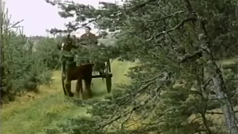 Novembermond 1985 GERMAN HC ENG SUBS 720p WEBRip H264 AAC