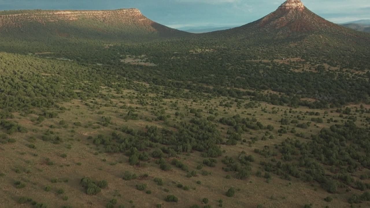 ⁣Laws Of Man 2024 BLURAY 1080p BluRay x264 AAC5 1-