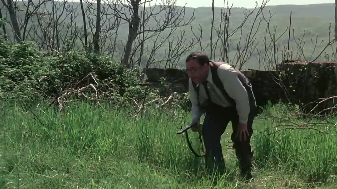 Le Vieux Fusil 1975 FRENCH 720p WEBRip x264 AAC-456movie net