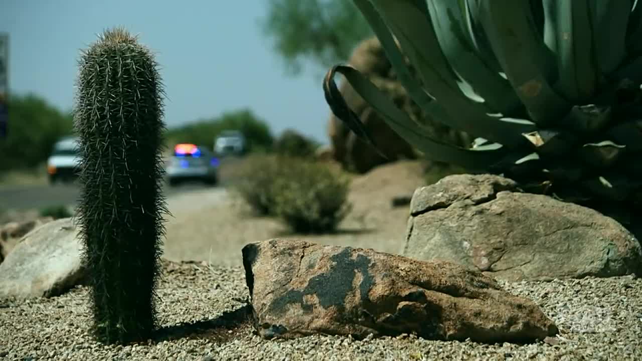 ⁣Buried in the Backyard S06E06