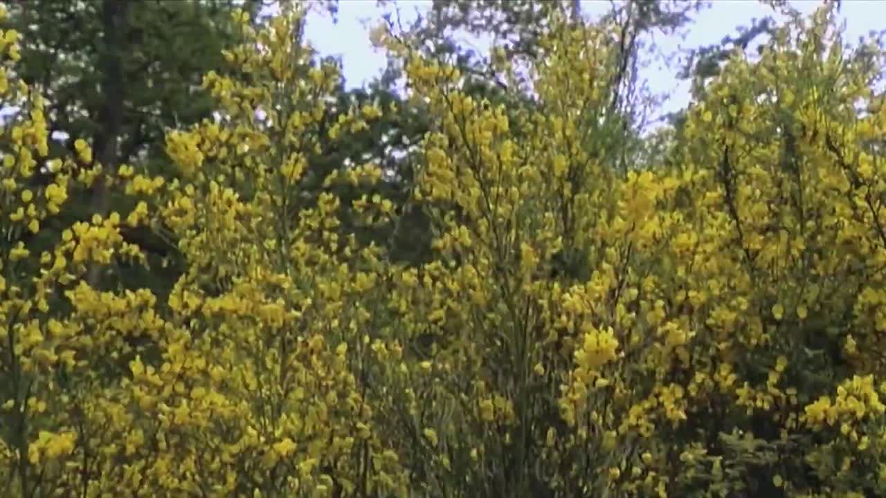 The Gamers Dorkness Rising 2008 1076p WEBRip x264 AAC-456movie net