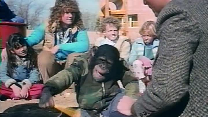 ⁣Animal Behavior 1989 464p VHSRip XviD AC3-miha2154