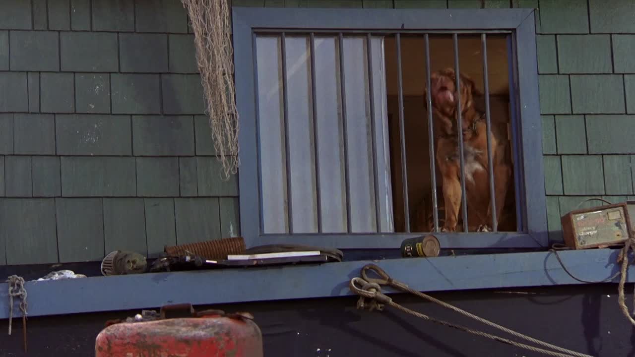 Turner & Hooch 1989 1080p BluRay x264 AAC5 1-