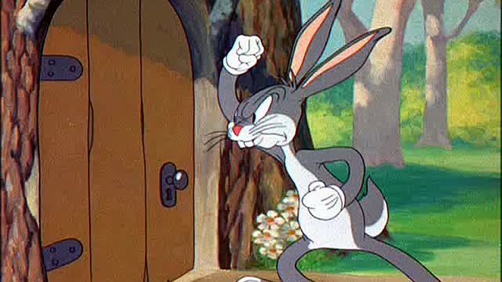 11 - Tortoise Beats Hare