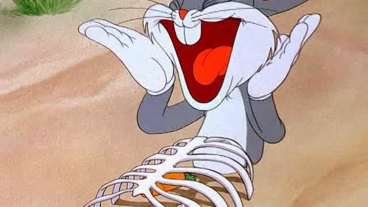 ⁣13 - Bugs Bunny Gets the Boid