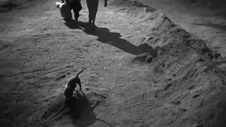 ⁣Der Apfel ist ab 1948 GERMAN HC ENG SUBS 480p WEBRip x264 AAC