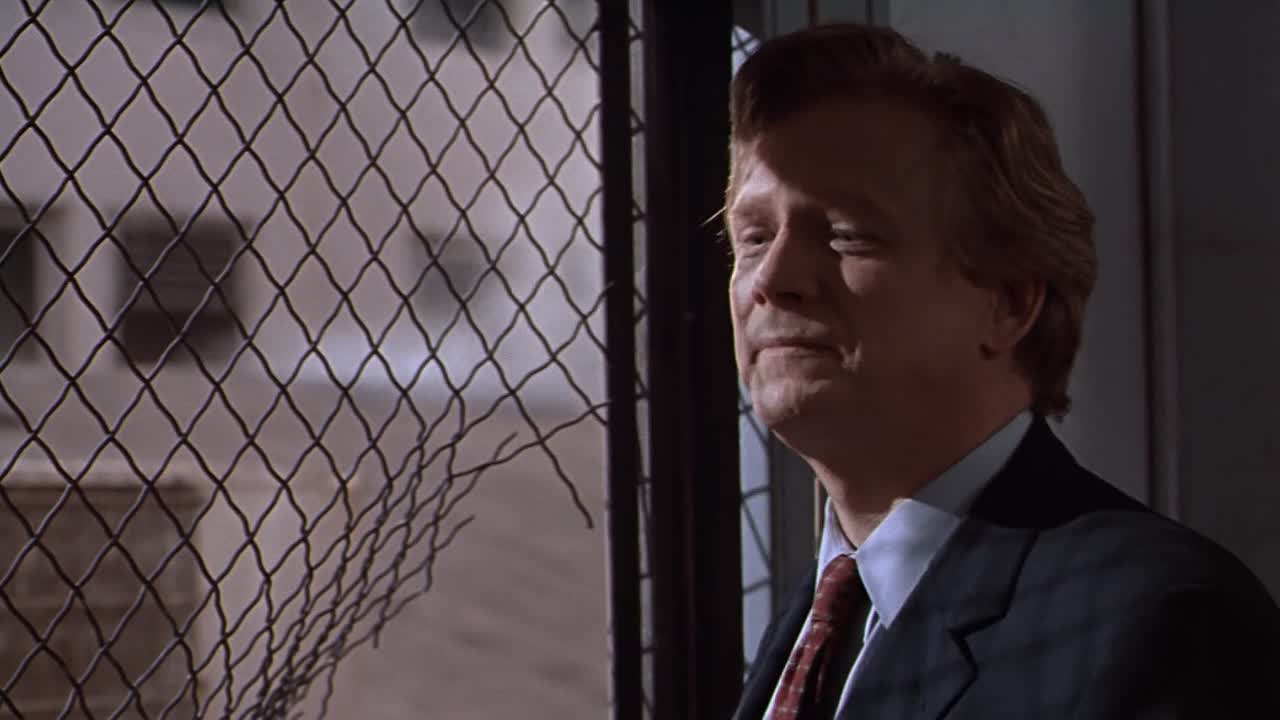 Paulie 1998 1080p WEBRip x264 AAC5 1-