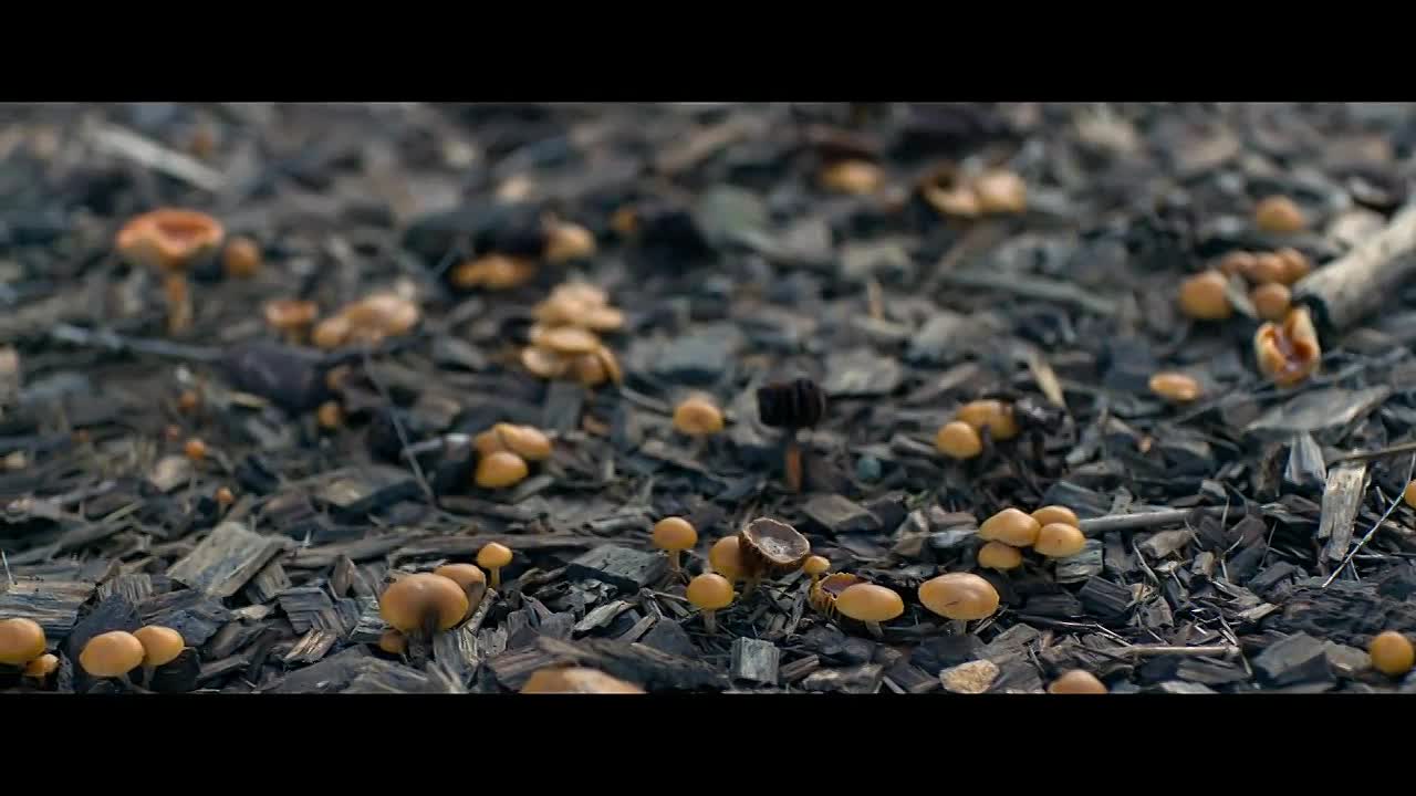 Revealed Death Cap Murders S01E01