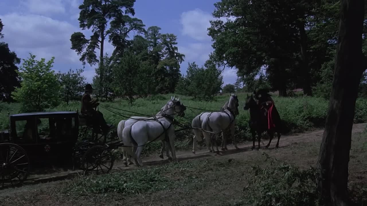 ⁣The Wicked Lady 1983 1080p BluRay x264 AAC-