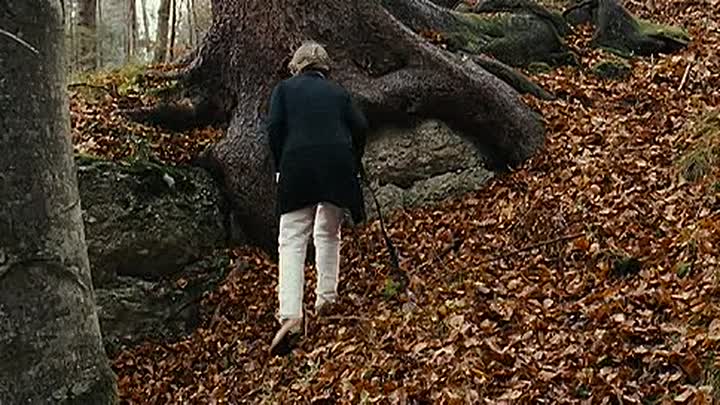 Im Winter ein Jahr 2008 GERMAN DVDRip XviD AC3-[rutracker org]