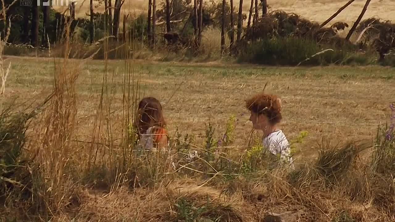 Slunce Seno Erotika 1991 CZECH HC ENG SUBS 980p DVDRip x264 AVC-sktorrent eu