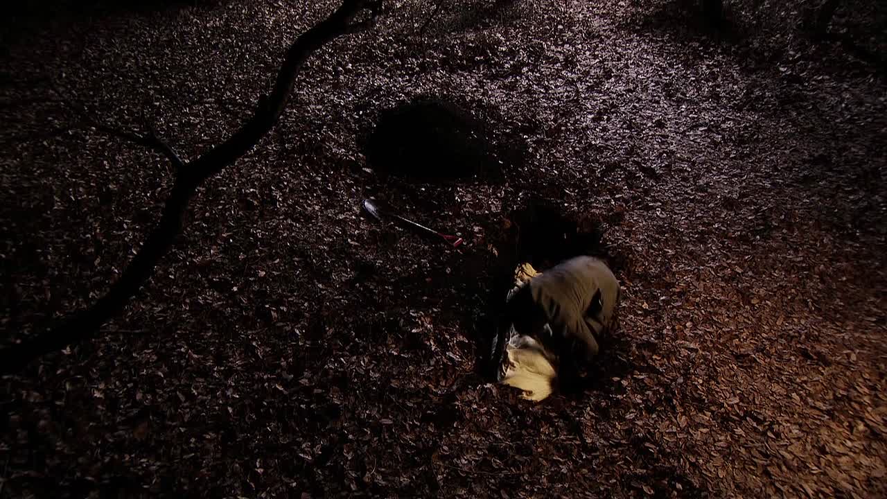 ⁣Ju-on 6 Black Ghost 2009 JAPANESE HC ENG SUBS 1080p BluRay x264 AAC-