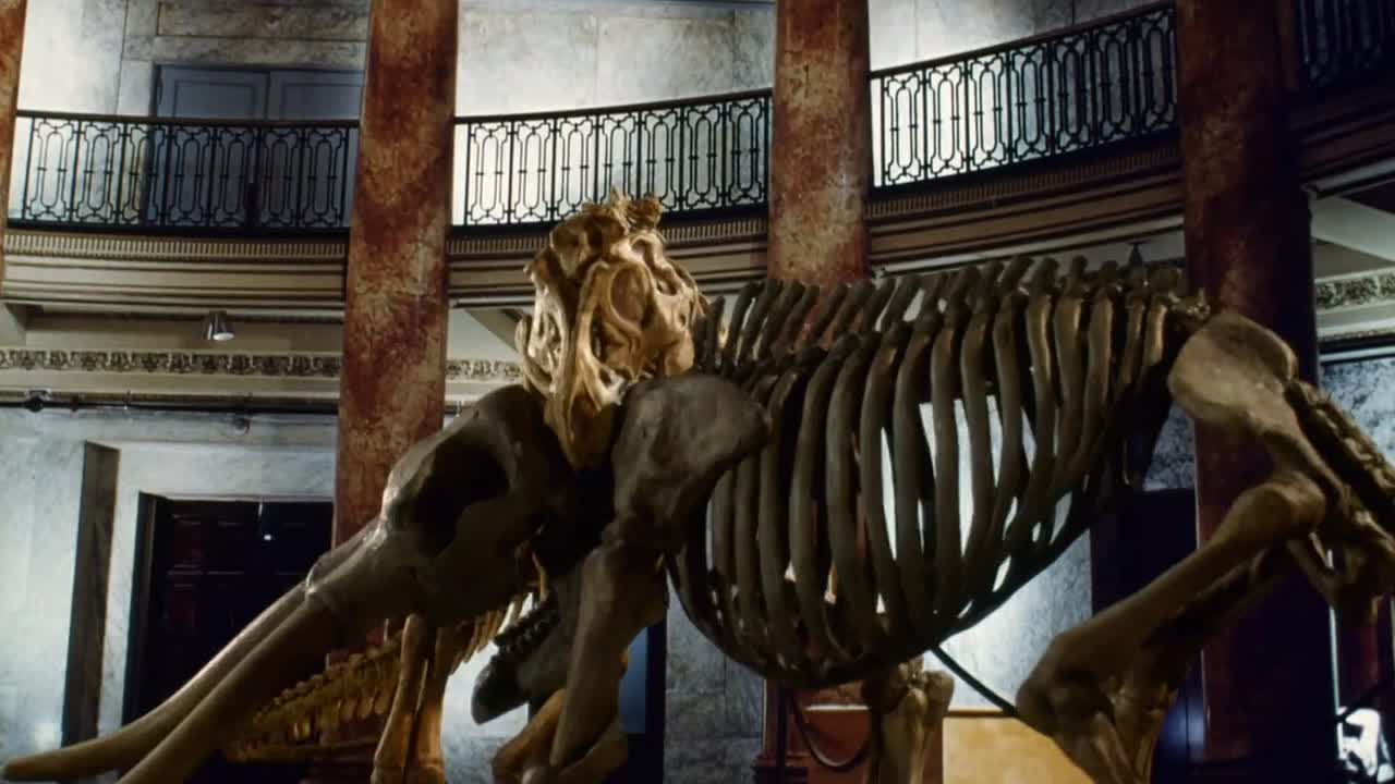 ⁣Doctor Mordrid 1992 1080p BluRay x264 AAC5 1-