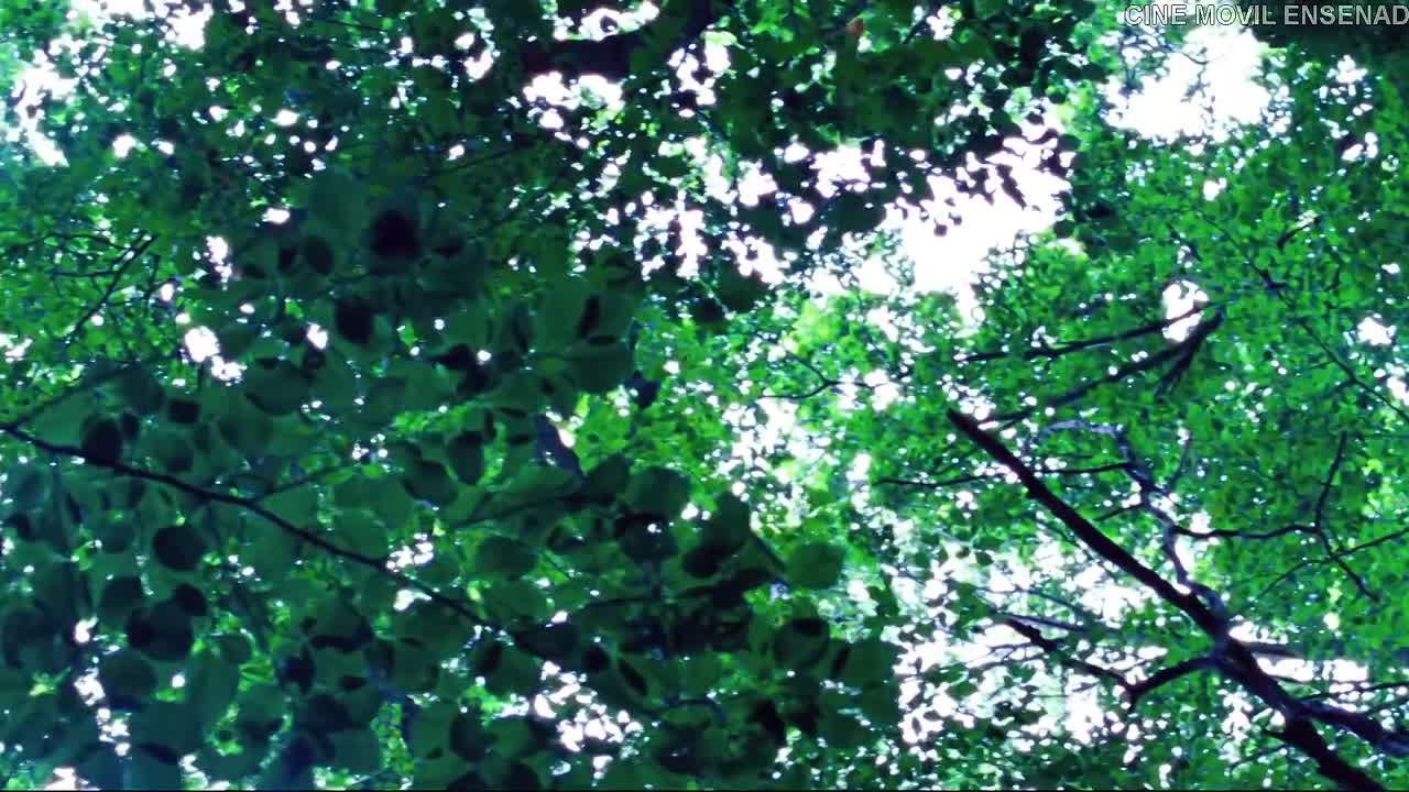 Lore 2012 GERMAN HC SPANISH SUBS 1040p HDRip x264 AAC