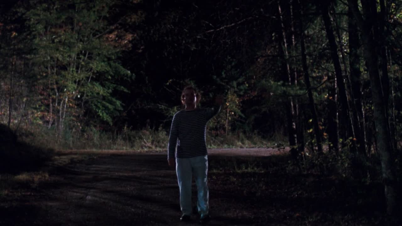 What About Bob 1991 1080p WEBRip x264-[YTS AM]