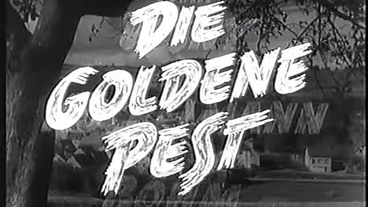 ⁣Die goldene Pest 1954 GERMAN 480p WEBRip H264 AAC