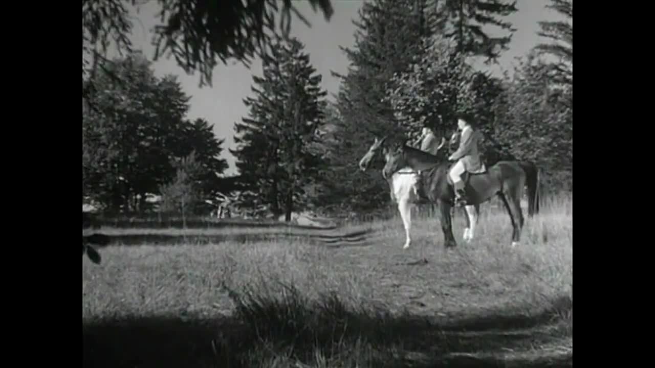 Hochzeitsglocken 1954 GERMAN 720p WEBRip x264 AAC