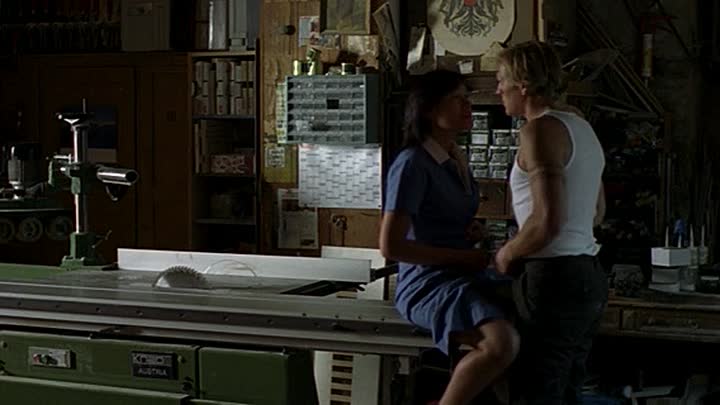 Silentium 2004 GERMAN 320p WEBRip x264 AAC-456movie net