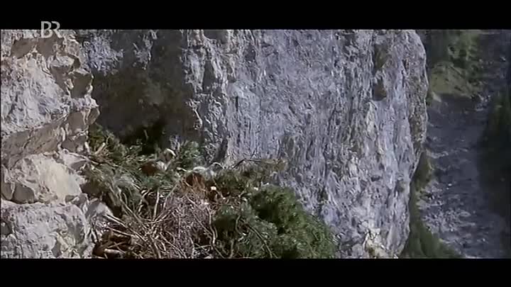 ⁣Schloss Hubertus 1973 GERMAN 478p WEBRip x264 AAC