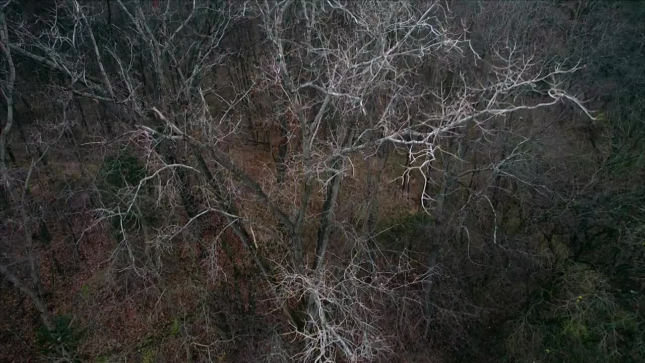 On The Case with Paula Zahn S28E09