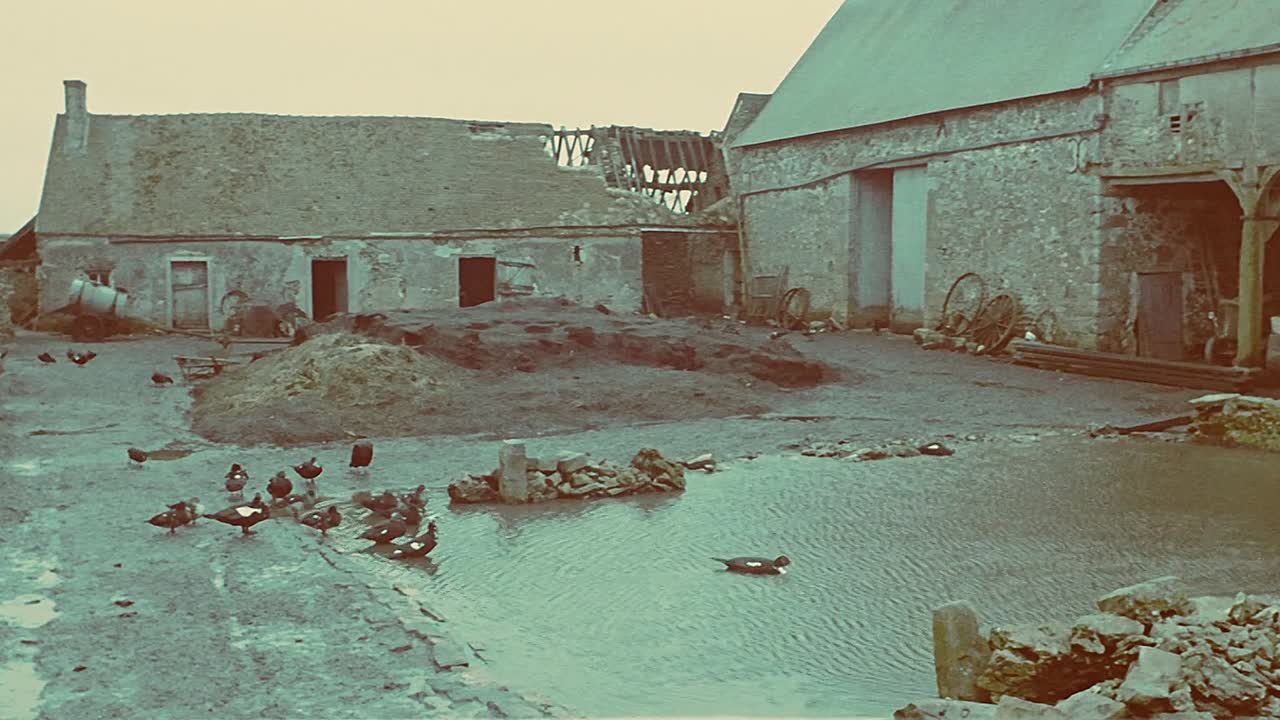 Un Idiot a Paris 1967 FRENCH 1080p DVDRip x264