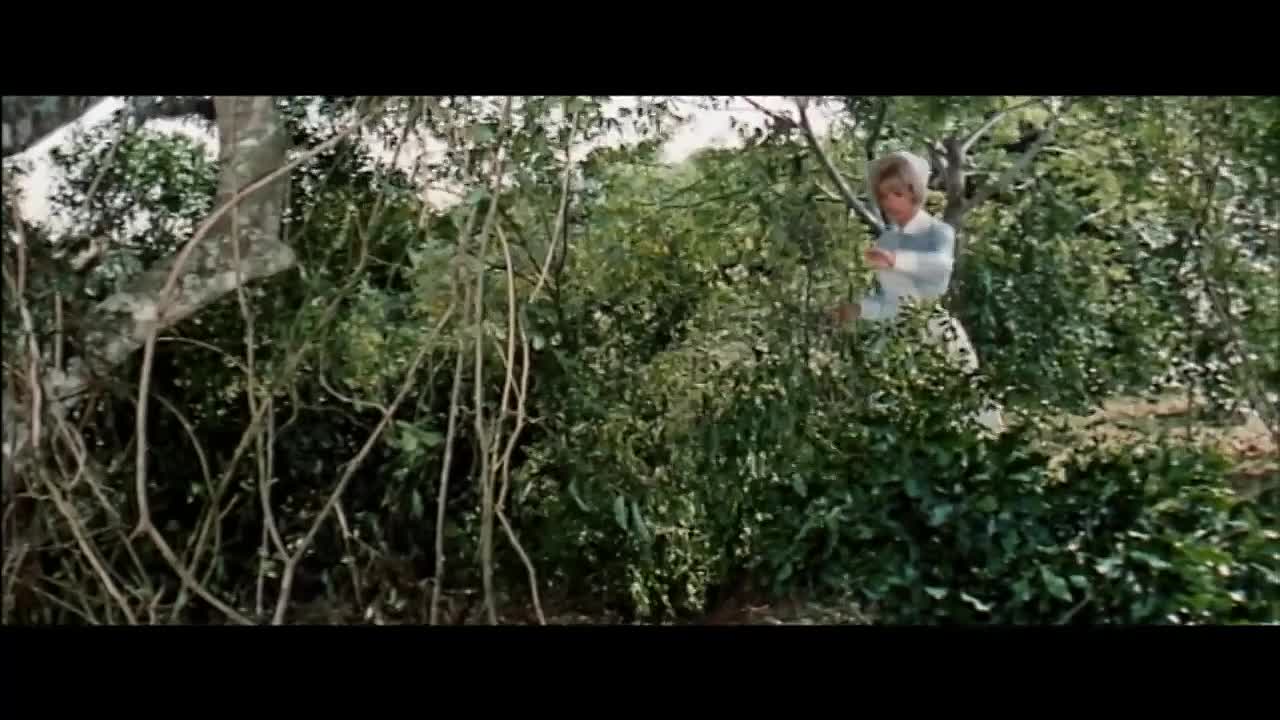 ⁣Death Drums Along the River 1963 720p WEBRip x264 AAC