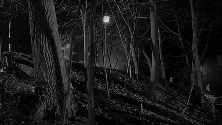 ⁣Die Tür mit den 7 Schlössern 1962 GERMAN 480p WEBRip x264 AAC