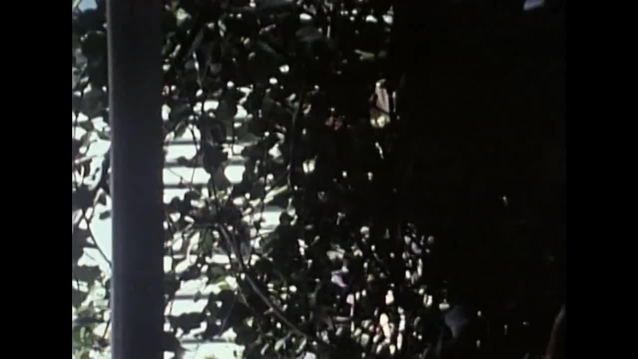 ⁣Der Vorgang 1973 GERMAN 720p WEBRip x264 AAC