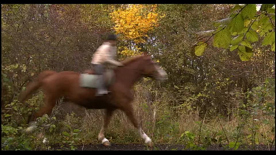 Zafir 2003 DANISH HC ENG SUBS 576p WEB-DL AAC2 0 H 264-FiSTER