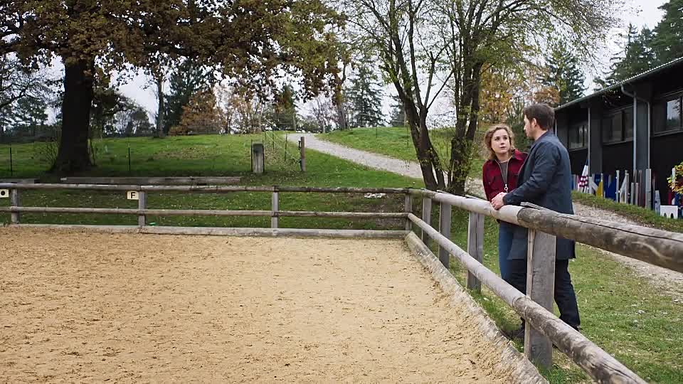 Reiterhof Wildenstein 4 - Der Junge und das Pferd 2020 GERMAN 540p HDRip x264 AAC