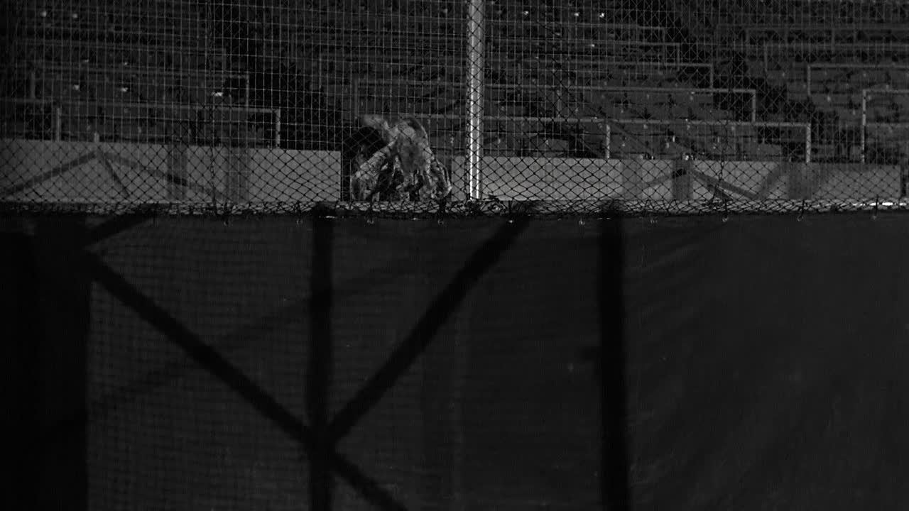 ⁣Safe At Home 1962 1080p WEBRip x264 AAC-