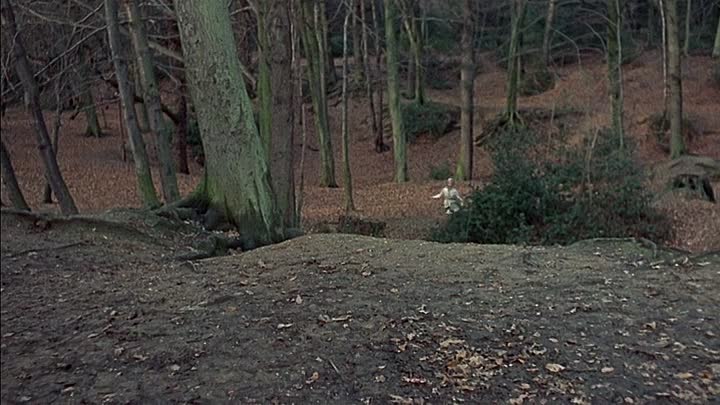 ⁣Die toedlichen Bienen 1966 GERMAN BDRip x264 AC3-SPiCY