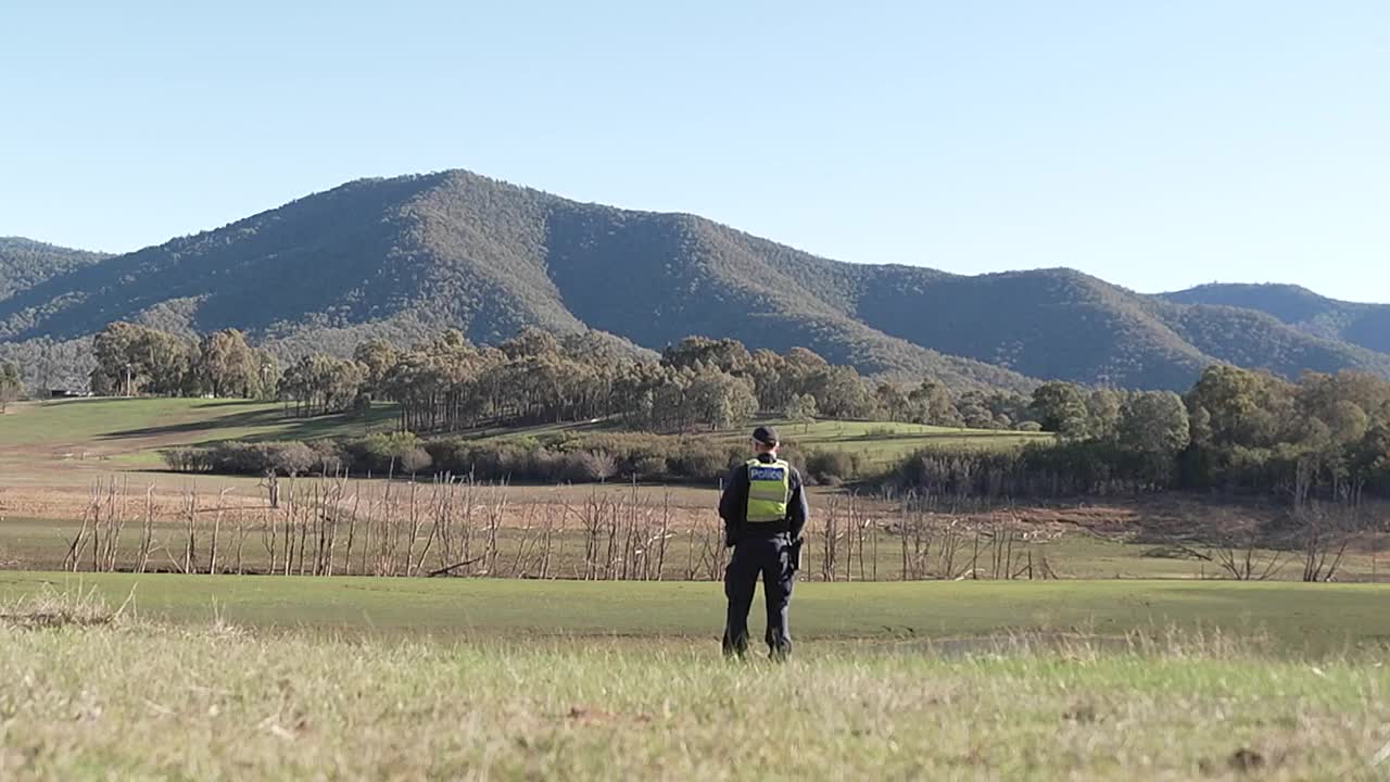 ⁣Insight AU -Thinning Blue Line