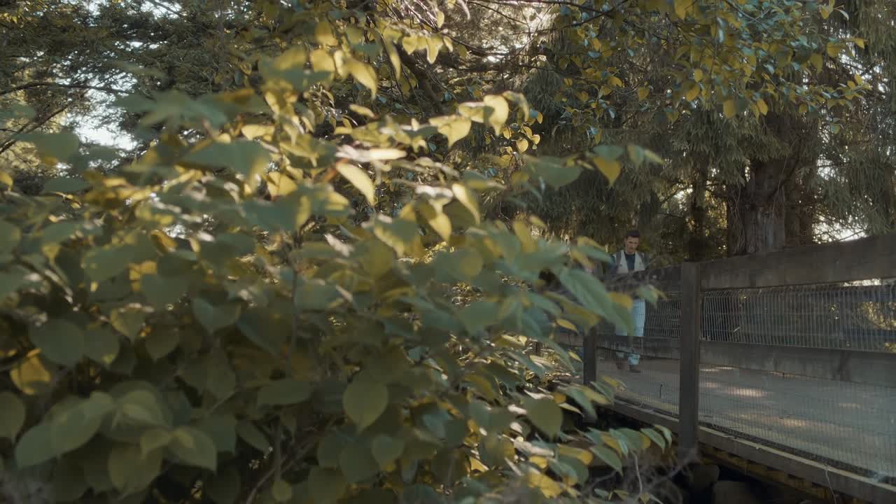 Adventures In Love Birding 2025 1080p WEBRip x264 AAC-