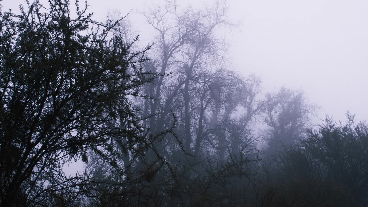 The Fist Of The Condor 2023 SPANISH HC ENG SUBS BLURAY 1080p BluRay x264 AAC5 1-