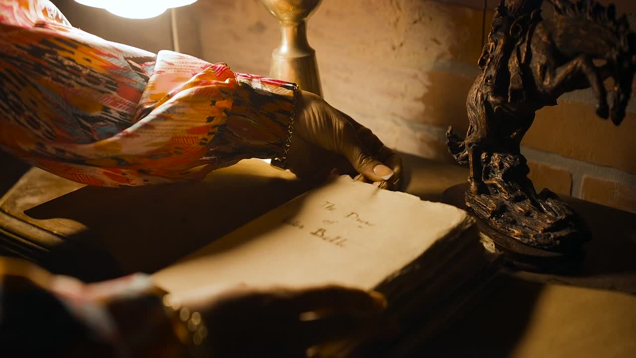 ⁣Deadly Visitor 2025 1080p WEBRip x264 AAC-