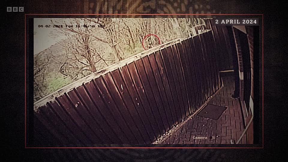 Cracking the Case S01E01