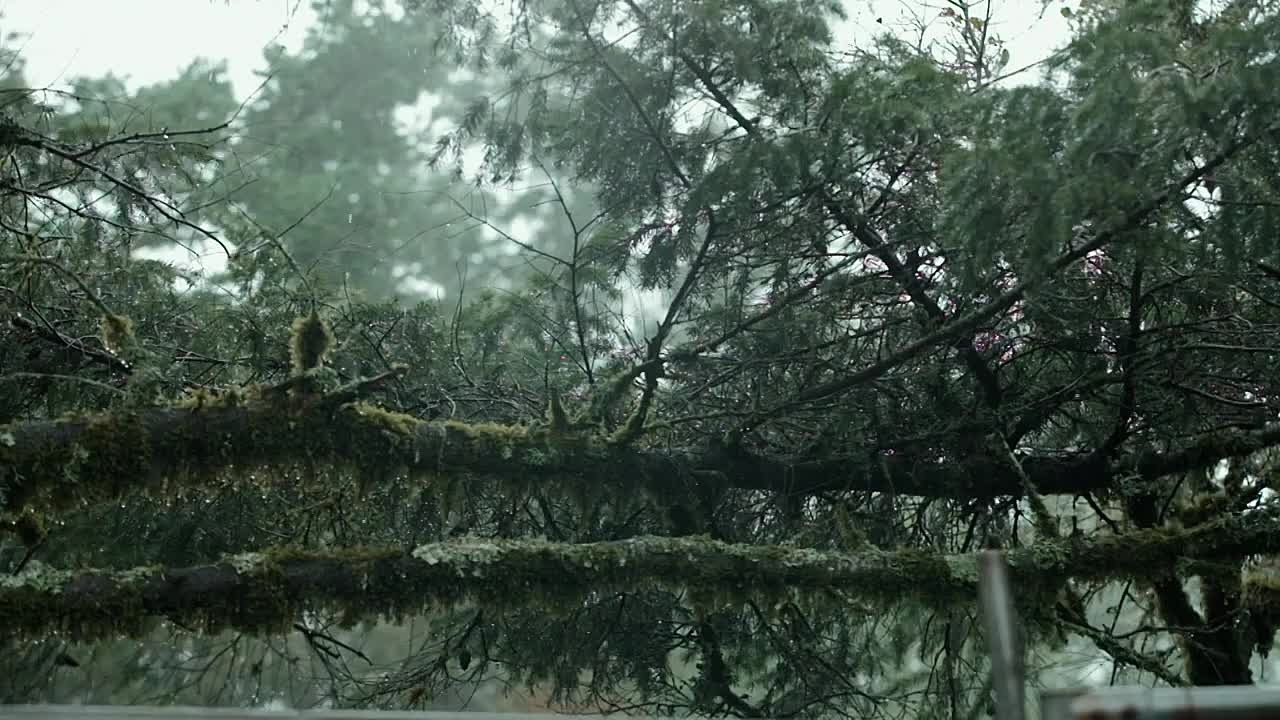 ⁣Death Row Confidential Secrets of a Serial Killer S01E02 -Husband, Father, Serial Killer